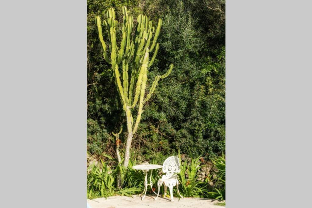 Villa Cecylia เอสคานูเทลส์ ภายนอก รูปภาพ